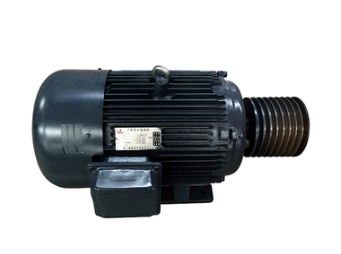 Domestic famous brand of efficient energy-saving main motor